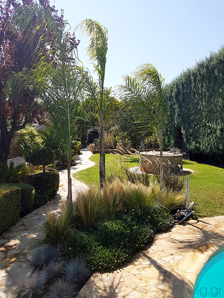 Ιδ. Κατοικία | Παραλία Αυλίδας