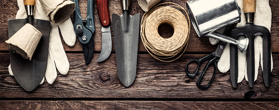 επίβλεψη έργω πρασίνου