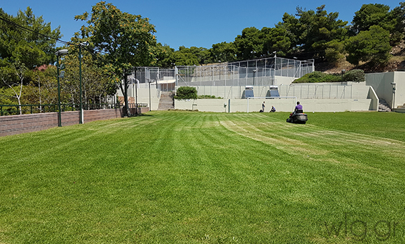 έργα πρασίνου