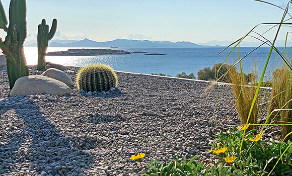 Roof Garden- Βούλα roof-garden