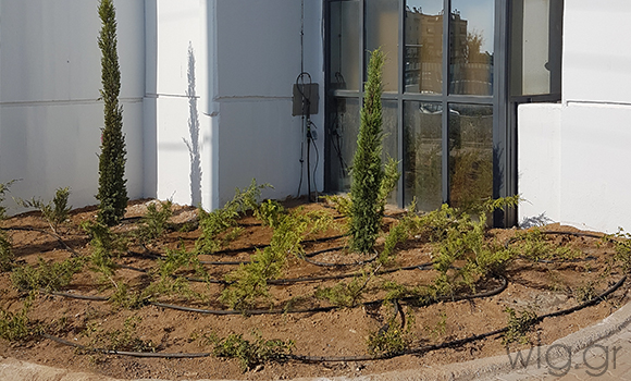 Έργα Πρασίνου στο Super Market ΣΚΛΑΒΕΝΙΤΗΣ - Δημήτρης Χαλκιάς έργα πρασίνου